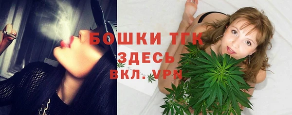 сатива Пересвет