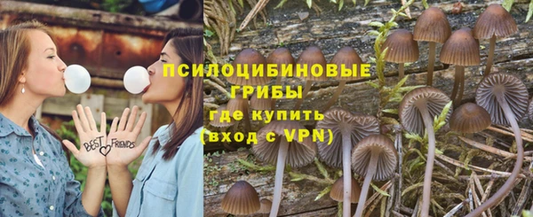 меф Заречный