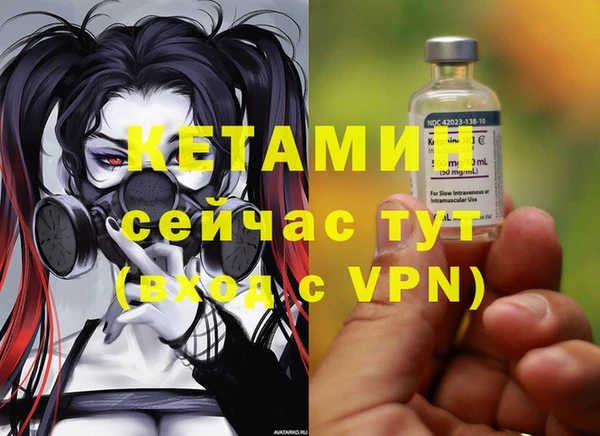 сатива Пересвет