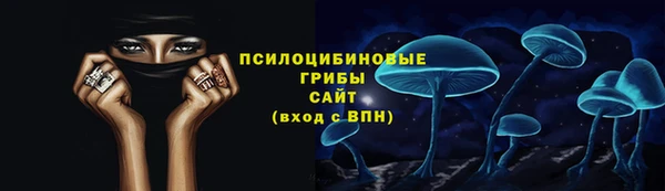 сатива Пересвет