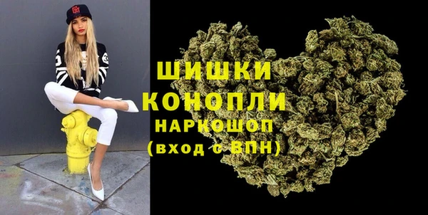 spice Осинники