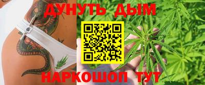 меф Гатчина