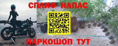 тгк Апшеронск