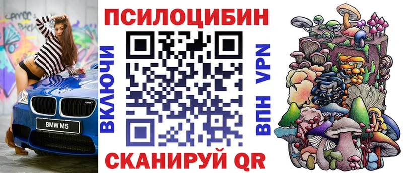 KRAKEN рабочий сайт Кизляр darknet формула Псилоцибиновые грибы GOLDEN TEACHER