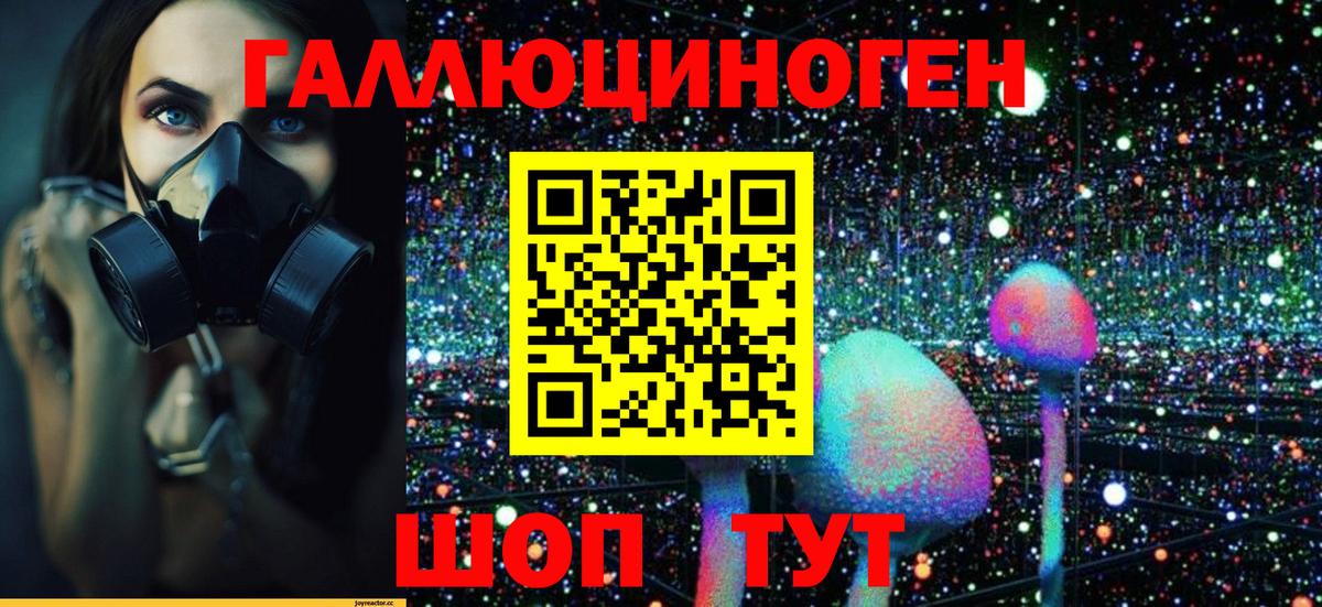 Галлюциногенные грибы Psilocybe Кизляр